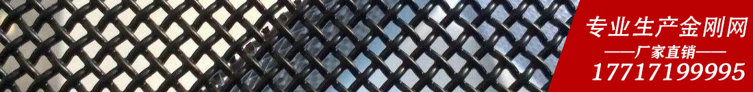 薩邦專(zhuān)業(yè)生產(chǎn)金剛網(wǎng)